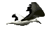gabbiano